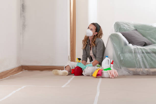 Reliable Mold Inspection And Testing contractor in Sherwood, MD by Car Mold Remediation